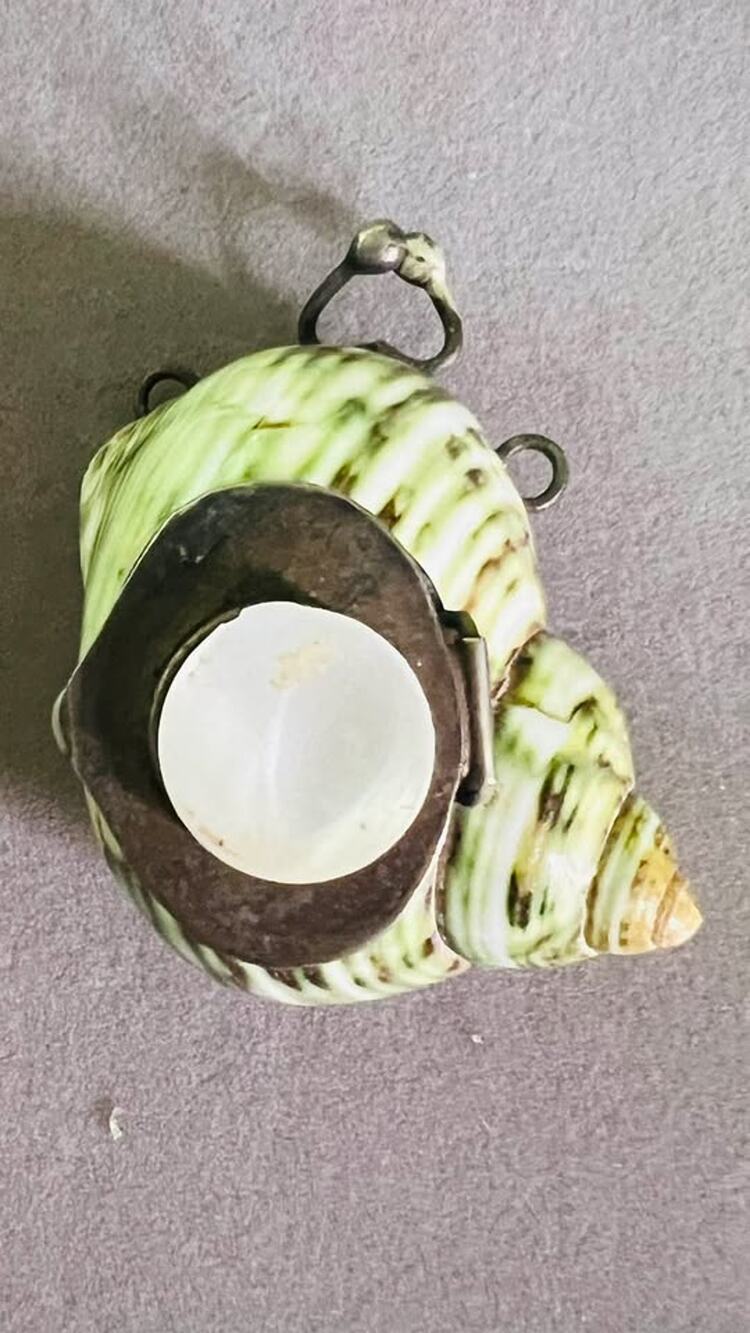 Vintage Green Turbo Shell Trinket Storage Pendant